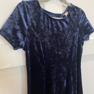 Navy Blue Crushed Velvet Dress